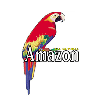 AMAZON
