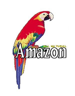 AMAZON